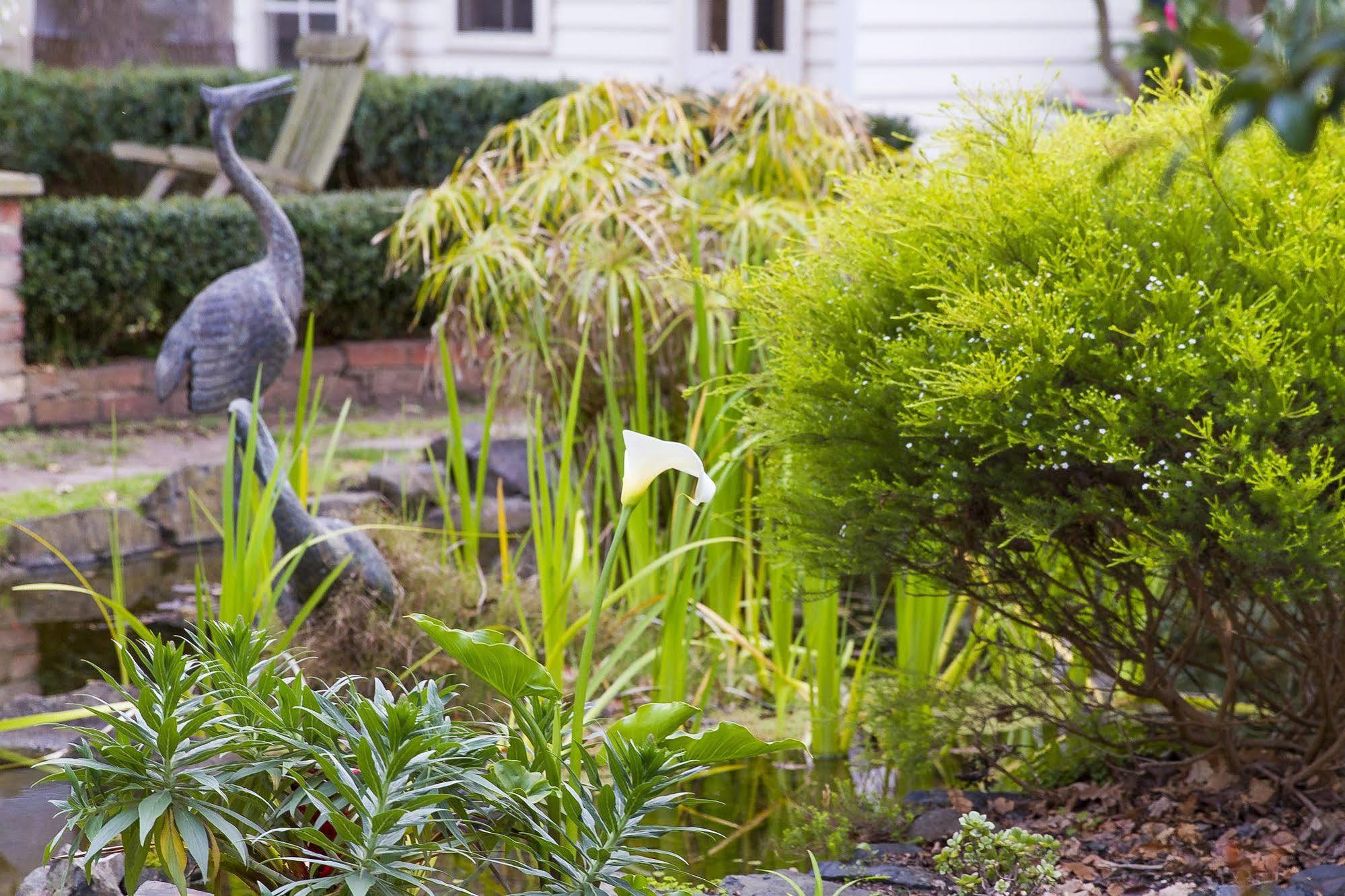 Glen Isla House Bed & Breakfast Phillip Island คาวเวส ภายนอก รูปภาพ